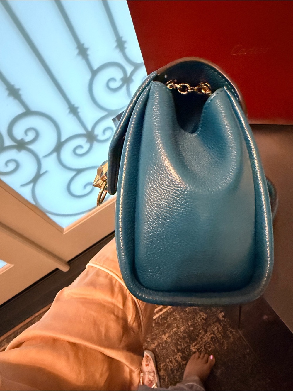 Cartier Panthere Graphique Small Leather Shoulder Bag with champagne Hardware - Picture 5 of 9